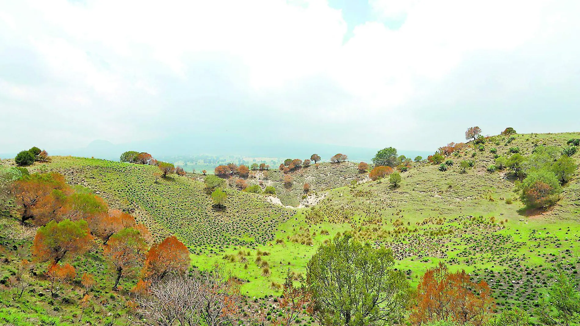 Las Cuevas del Diablo cráteres de Xalapasco Tlaxcala principal  